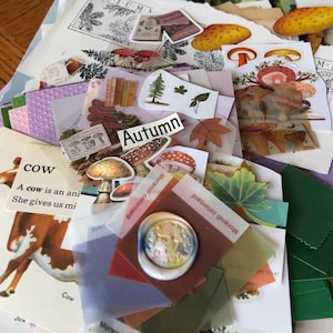 Op maat gemaakt crafty-pakket gevuld met ephemera voor junkjournaling, scrapbooking, collageprojecten en meer!