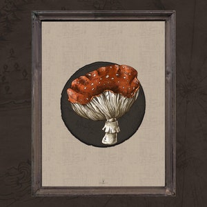The Nordic Pagan Series No:008, Magic Mushrooms Digital Prints, Vintage Dark Gallery Fungi, Fairycore Poster, Gothic, Victorian insect art