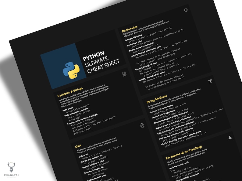 python essential tips, python coder poster, python learning wall art, python code summary, python pro guide