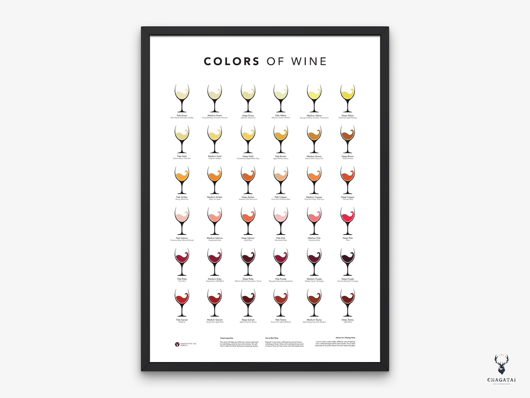 Wine Color Guide Wine Wall Art Poster Wine Color Print Types of Wine