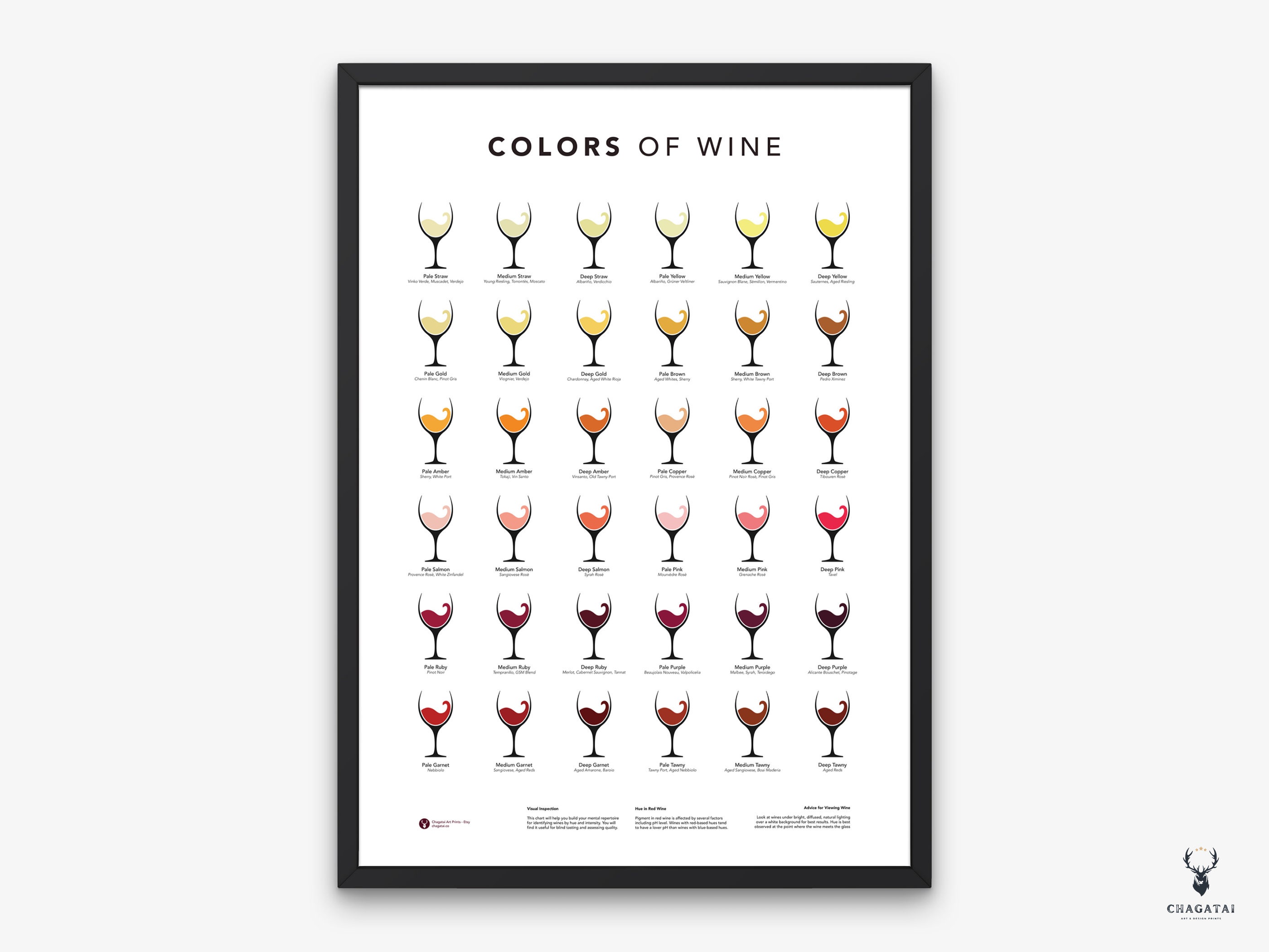 Wine Color Guide Wine Wall Art Poster Wine Color Print Types of Wine