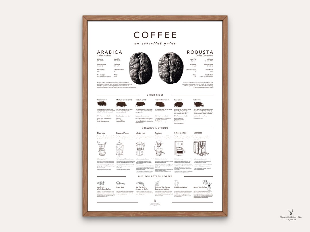 Coffee Brew Methods Print Coffee Guide Poster Kitchen Wall Art Coffee