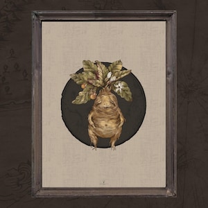Herbology Art Mandrake Home Decor Digital Prints Gothic Botanic Poster Vintage Herbology Gallery Fungi Fairycore Poster Art Gothic Decor