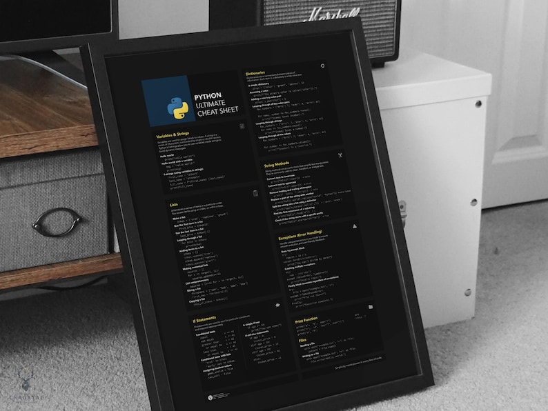 Visual Python programming wall art