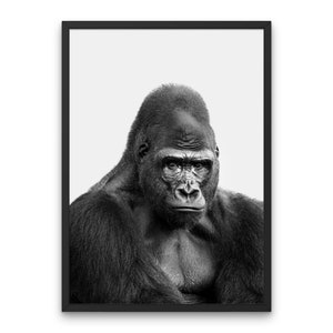 Gorilla Wall Art Poster Home Decor Huge Gorilla Print Animal Poster Gorillaz Wall Art Monochrome Art Decor Gorilla Home Decor Printable Art