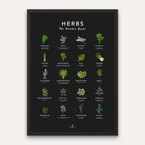 Poster für Küche, Kräuter Poster, Kunstdruck, Illustration, Illustration