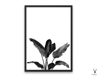 Monochrome Print Strelitzia Poster Photography Botanical Poster Strelitzia Large Poster Wall Art Black White Photography Art Decor Office