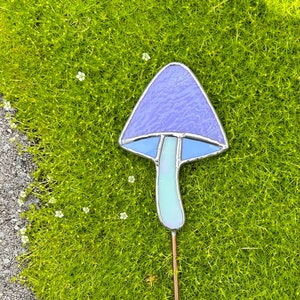 Glass Mushroom Planter Decor