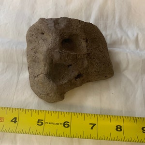 May include: A close-up of a rough, brown, irregularly shaped rock with a few holes. A yellow measuring tape with black markings is visible in the bottom of the image.