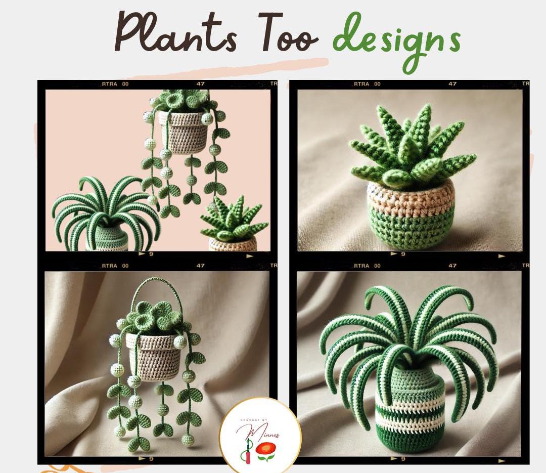 Mini aloe plant - Etsy.de