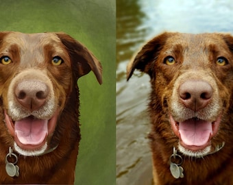 Digital Painting - Custom Pet Portrait