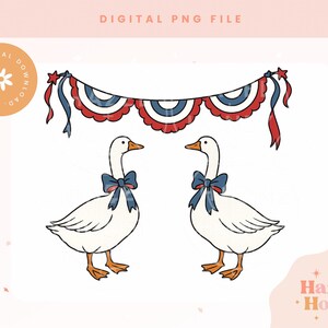 Patriotic Goose PNG | 4th of July Silly Goose Clipart | USA Goose Sublimation Design | Funny Digital Download for Independence Day/Patriotic