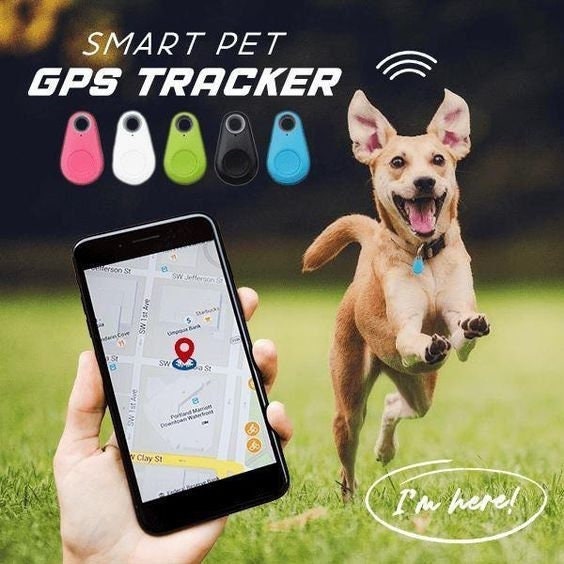[4-Pack] Localizador GPS Para Perros Encontrar Llaves De Auto Rastreador  Espia 