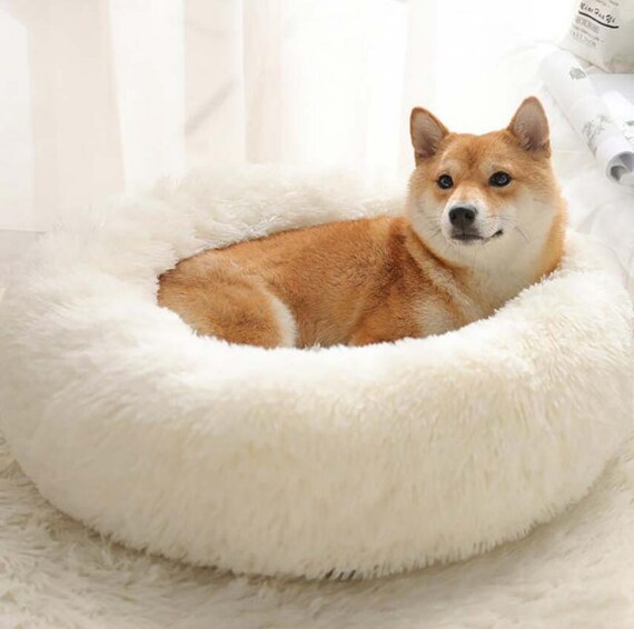 Cuddly top dog beds