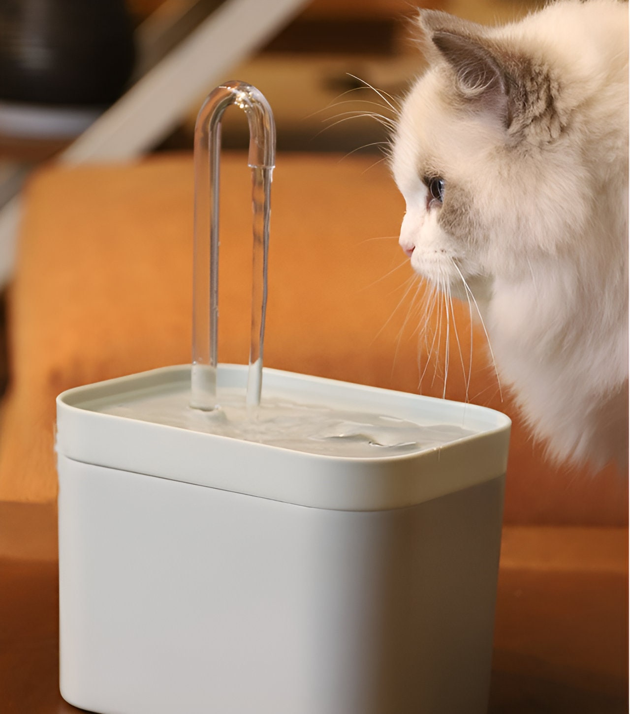 Comprar Cable USB/fuente de agua para gatos con Sensor de movimiento,  dispensador para perros, filtro, bebedero automático, alimentador de  mascotas de acero inoxidable