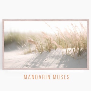 May include: A framed photograph of tall grass blowing in the wind on a sandy beach. The grass is a light brown color and the sand is white. The image is framed in a light wood frame.