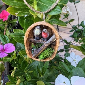 Pu&ograve; includere: Un ornamento fatto a mano con due piccoli uccelli dipinti appollaiati su un ramo all'interno di un guscio di noce. Gli uccelli hanno dettagli grigi e rossi. Il guscio &egrave; riempito di muschio verde e un piccolo ramo. Un anello di spago &egrave; attaccato per appenderlo.
