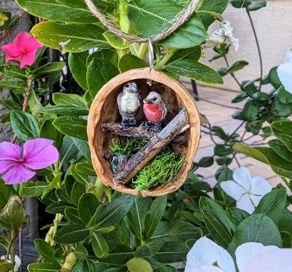 Real Walnut Shell Love Birds in a Tree Ornament. Just Hiding in a Little Walnut Forest.