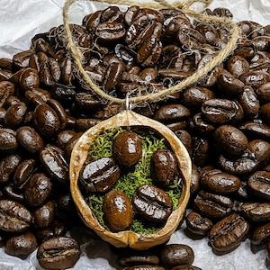 May include: A handcrafted pendant necklace featuring a walnut shell filled with green moss and coffee beans. The pendant hangs from a natural twine cord, set against a backdrop of roasted coffee beans. The coffee beans are a rich, dark brown color.