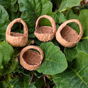 Walnut Shell Fairy Baskets (Set of 4), Handmade DIY Crafting Supplies