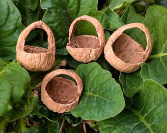 Cestini delle fate in guscio di noce (set da 4), materiali artigianali fai da te