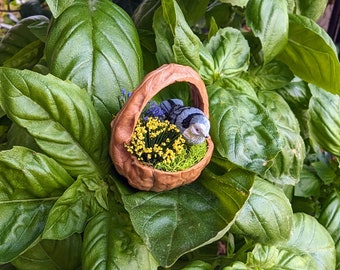 Può includere: Una statuetta di uccello in miniatura in un cestino di guscio di noce pieno di fiori gialli e blu e muschio verde. L'uccello ha piume blu e grigie. Il cestino ha un manico e si trova tra grandi foglie verdi di basilico.