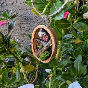 Pu&ograve; includere: Un ornamento per uccelli fatto a mano, con due piccoli uccelli all'interno di un guscio di noce. Gli uccelli hanno dettagli rossi, bianchi e neri, appollaiati su un piccolo ramo con muschio verde. L'ornamento &egrave; appeso a un cordoncino di spago naturale.