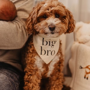 Big Bro - Big Sis - Pregnancy Announcement - Custom Dog Bandana