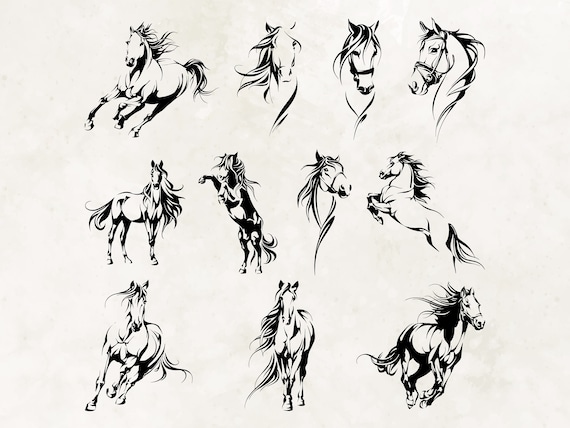 Horse Svg| Horse Png| Rodeo Svg| Horses Svg| Horse Shirt Svg| Horseshoe Svg| Horse Svg Bundle| Horse Cricut| Horse Silhouette Svg|Cute Horse