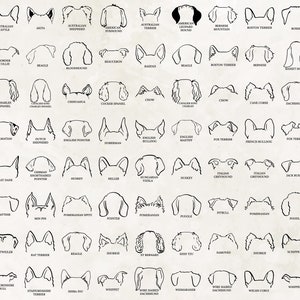 Dog Breed Ears SVG | Hand Drawn | Dog ears outline bundle | Svg Clipart bundle | Line art | Tattoo Design | PNG bundle | Commercial Use