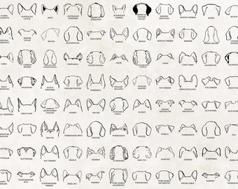 Dog Breed Ears SVG | Hand Drawn | Dog ears outline bundle | Svg Clipart bundle | Line art | Tattoo Design | PNG bundle | Commercial Use