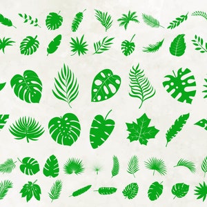Tropical leaves svg Bundle | Palm Leaves Svg | Palm Branch Svg | Jungle leaves Svg | Monstera Svg | Tropical svg | Party Decor