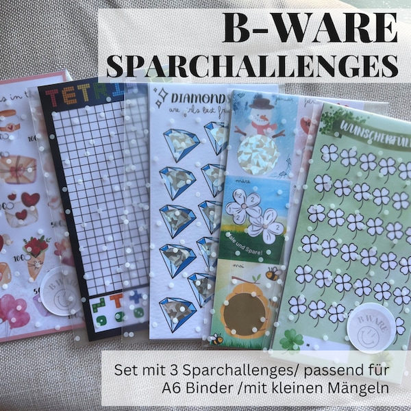 B Ware - Sparchallenges | A6 Umschlagmethode | Budgetieren mit Spaß und Erfolg