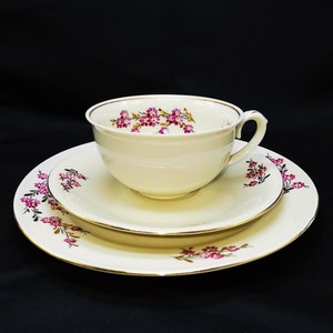 Elevate Your Tea Time with this Hand-Painted TSK Single Vintage Cup Set with Flower Branch Design, Directly from Germany