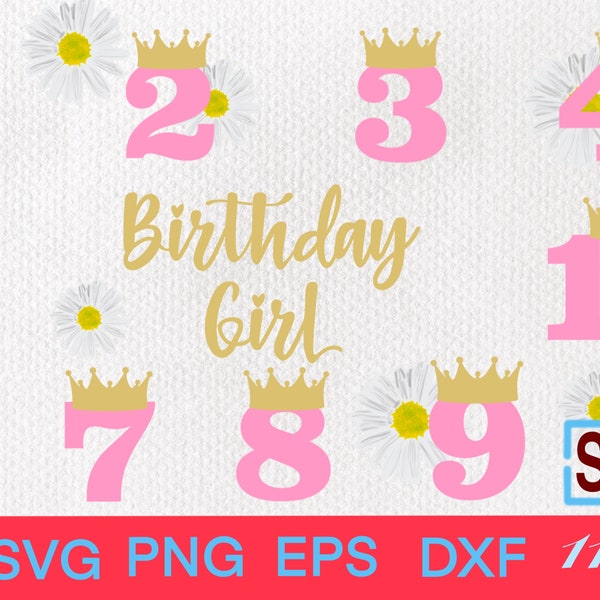 Birthday Girl Svg - Birthday Girl cut Giles - Birthday Party Numbers Svg - Birthday Girl 1, 2, 3, 4, 5, 6, 7, 8, 9, 10, Birthday Girl Crown