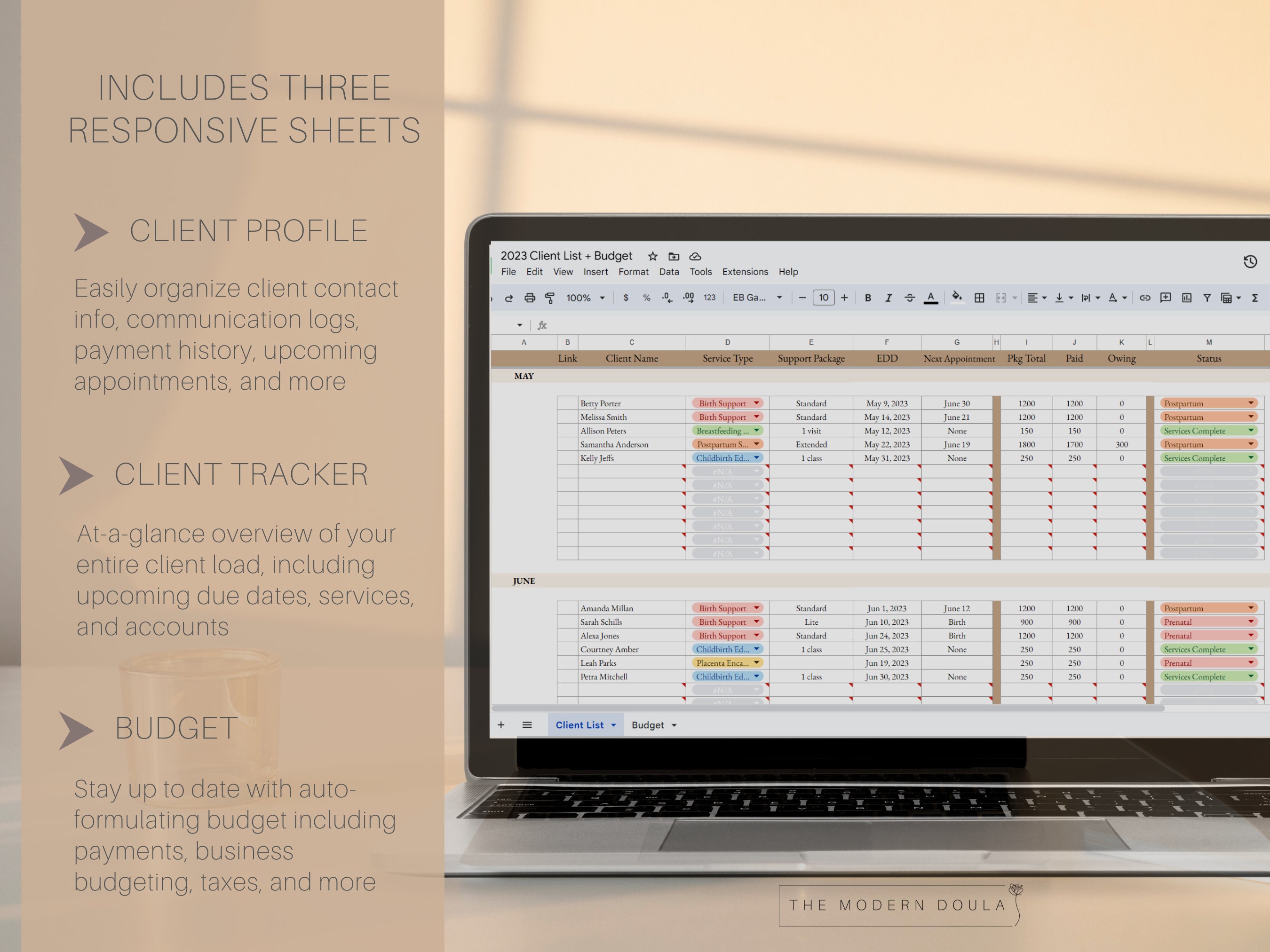 Doula Client and Budget Tracker System Client Files Doula - Etsy
