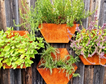 Maceta de acero hexagonal oxidada montada en la pared o independiente | para hierbas o flores culinarias | Grosor de pared de 1,5 mm | 400 mm de ancho