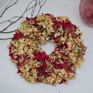 Könnte beinhalten: Ein kreisförmiger Kranz aus getrockneten Hortensienblüten. Der Kranz weist eine Mischung aus Farben auf, darunter tiefes Rot, helles Grün und Beige. Die Blüten sind dicht gepackt und erzeugen ein volles und strukturiertes Aussehen. Der Kranz ist wahrscheinlich für die Inneneinrichtung.