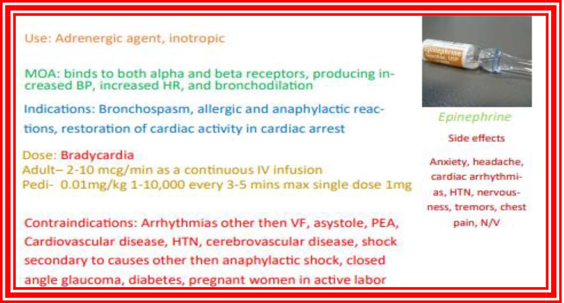 Paramedic Emergency Drug Cards Etsy paramedic-emergency-drug-cards-etsy
