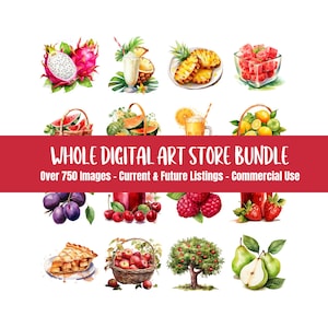 Entire Shop Digital Art Bundle Whole Shop Whole Shop Clipart Entire Store Shop Bundle Commercial License Clipart Bundle Digital Art Bundle