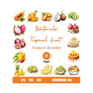 Watercolor Tropical Fruit Clipart Bundle Pineapple png Tropical Fruit png Papaya Clipart Mango Clipart Tropical Fruit Graphics png clip art