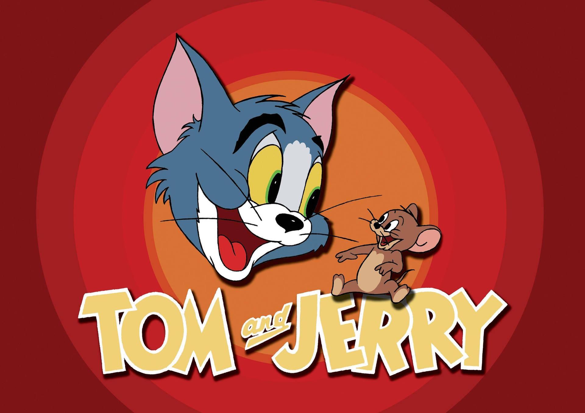 Tom Y Jerry Serie Completa Espanol Latino DVD 1940s Canada