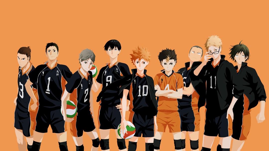 Haikyu!! Haikyuu!! Complete Season 1 - 4 Eps 1 - 85 + 2 OVAs + 4 Movies DVD  Box