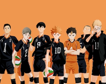 Haikyuu!! Haikyu! Season 1-4 (4 Movies + 5 OVA) Complete Series