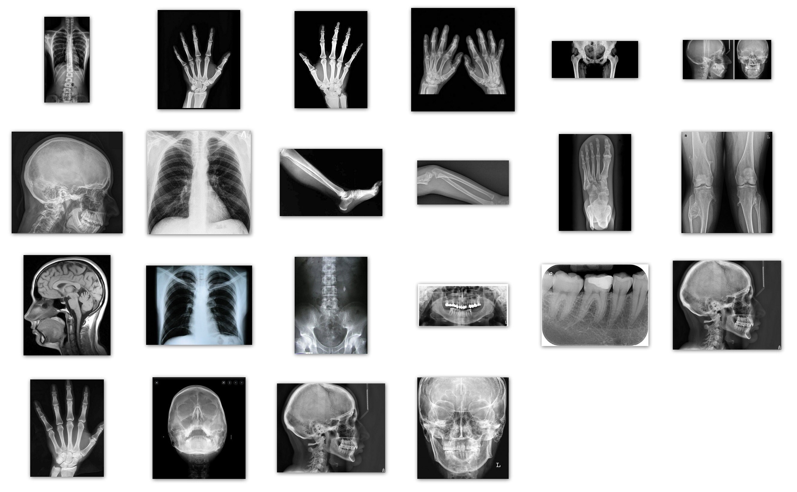 X Ray Files Instant Downloads. Printable Tags Pages Paper Craft Etsy