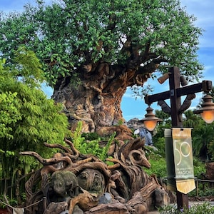 Tree Of Life