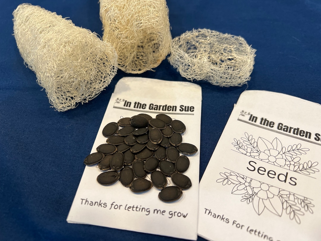 Loofah Seeds, Luffa Sponge Seeds, Organic Loofah, Homegrown Luffa Seeds