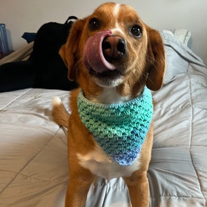 Handgemaakte gehaakte pet-bandana