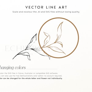 Puede incluir: Un gr&aacute;fico vectorial de l&iacute;neas que muestra una ilustraci&oacute;n bot&aacute;nica de una hoja en negro con un resaltado circular marr&oacute;n. El texto dice VECTOR LINE ART, Changing colors, e incluye instrucciones para cambiar el color de archivos SVG.