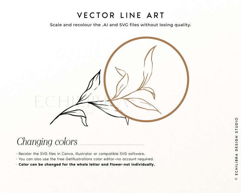 Puede incluir: Un gr&aacute;fico vectorial de l&iacute;neas que muestra una ilustraci&oacute;n bot&aacute;nica de una hoja en negro con un resaltado circular marr&oacute;n. El texto dice VECTOR LINE ART, Changing colors, e incluye instrucciones para cambiar el color de archivos SVG.